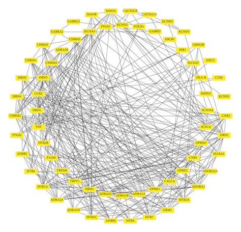 The Ppi Network Graph Of Np Related Targets Download Scientific Diagram