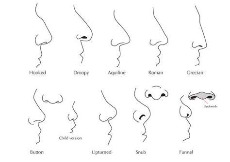 Formas Nariz Realistic Eye Drawing Nose Drawing Drawing Tips Drawing