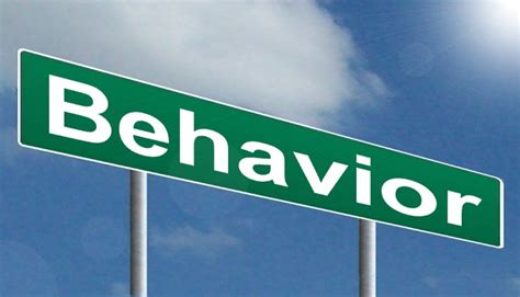 Behavior Highway Image