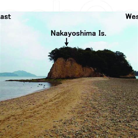 Sea Cliff And Wave Cut Bench On The East Side Of Nakayoshima Island 1