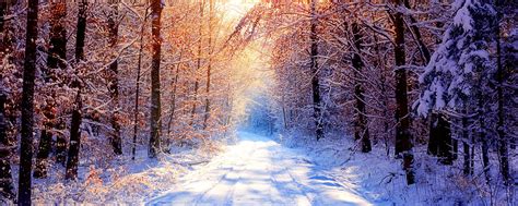 Lovely also | Winter wallpaper, Nature photography, Beautiful nature