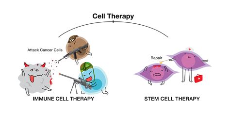 Cellpedia Cell Therapy
