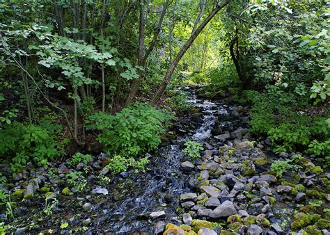 Peaceful Flowing Creek Photograph By Ben Upham Iii Fine Art America