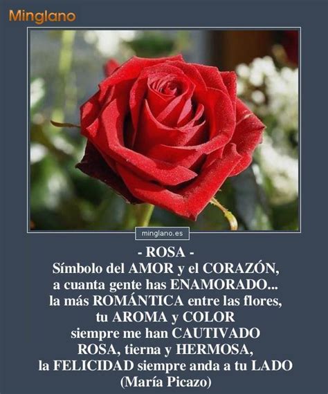 Top Imagenes De Rosas Con Frases Destinomexico Mx