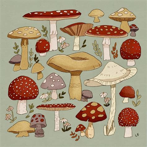 Pin By Stomatolog On In Mushroom Art Art Collage Wall