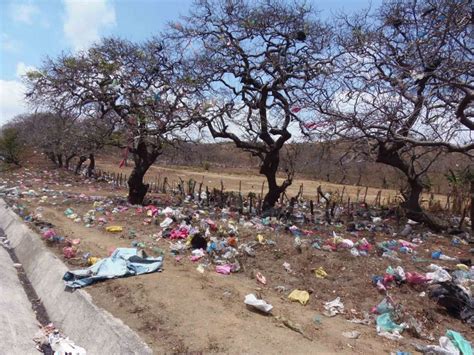 Problemas Del Medio Ambiente Publicaciones Induanalisis