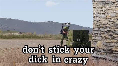 Dont Stick Your Dick In Crazy Coub The Biggest Video Meme Platform