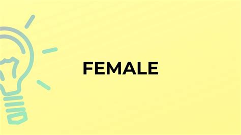 What Is The Meaning Of The Word Female Youtube