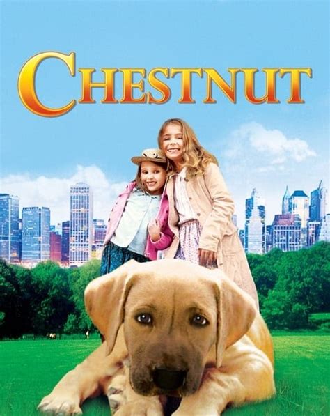 ¡gracias por visitarnos y ver o descargar soul online gratis! Linea Ver Chestnut: El héroe de Central Park (2004 ...