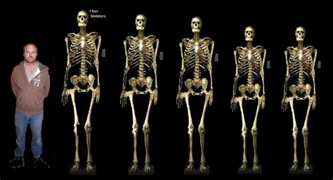 7 Skeletons Giants In Alaska Nephilim Giants Smithsonian Ancient