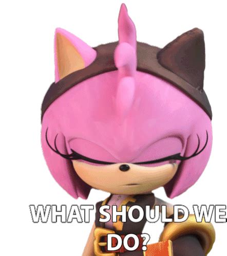 What Should We Do Amy Rose Sticker What Should We Do Amy Rose Sonic