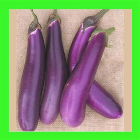 Eggplant Italian Long Purple Organic Open Pollinated Seeds