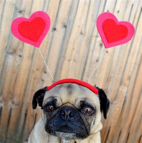 Seven Sweets For Your Sweetie This Valentine's Day - Miami ...