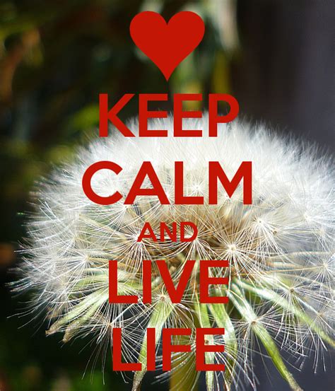 Keep Calm And Live Life Keep Calm Keep Calm Quotes Live Life