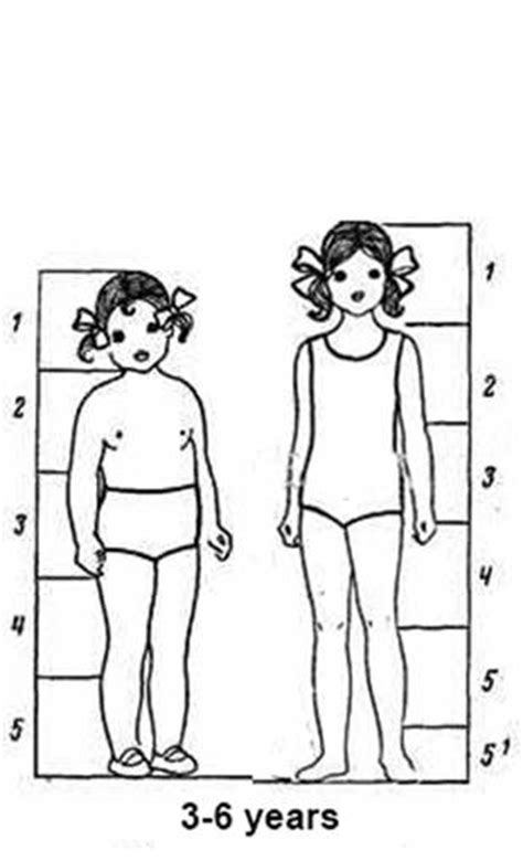 Introduction To The Theory Childrens Body Proportions Girls Corset