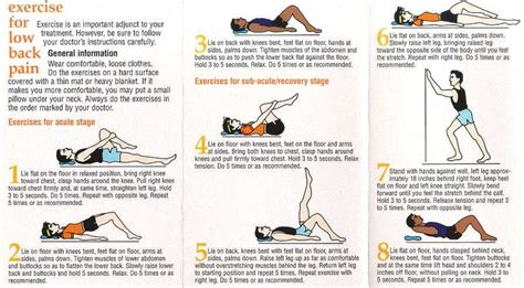 Physical Therapy Exercises For Lower Back On Pinterest Back Pain