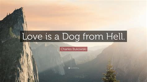 Charles Bukowski Quote Love Is A Dog From Hell