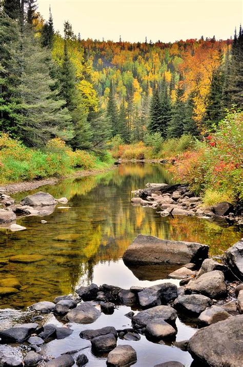 Autumn Reflections At Beaver River Photograph By Roxanne Distad Fine