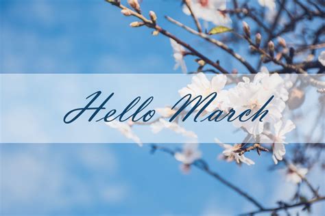 Hello March Images Pictures Hello March Images March Images Hello March