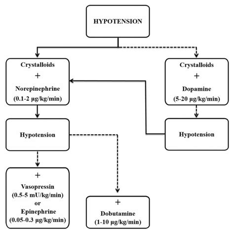 Pdf Fluid Resuscitation For Refractory Hypotension