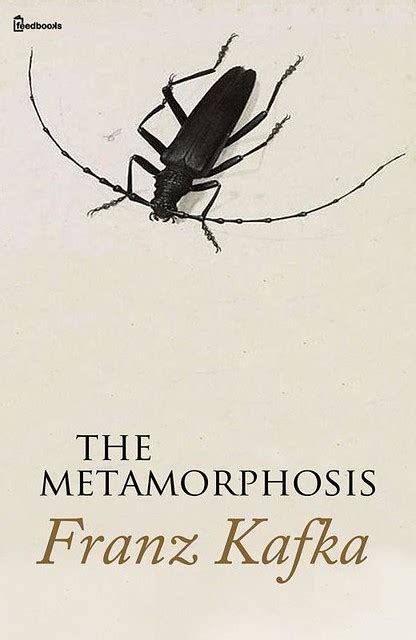 Book Review The Metamorphosis By Franz Kafka Yayawar