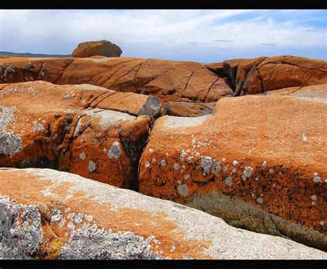 Rusty Red Rocks Bridport Tasmania Today We Decided On Flickr