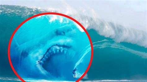 Megalodon Caught On Camera In Real Life Youtube