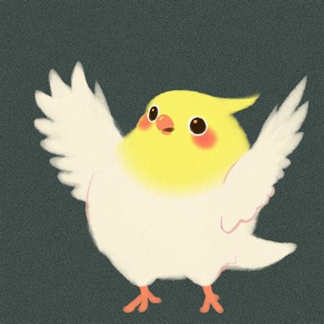 Bird Animal Zerochan Anime Image Board