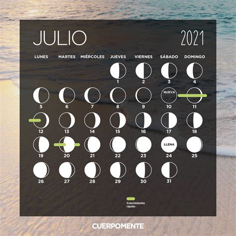 Calendario Lunar De Julio 2021 Fases Lunares Bullet Journal Snoopy