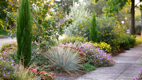 Best Sidewalk Garden Ideas