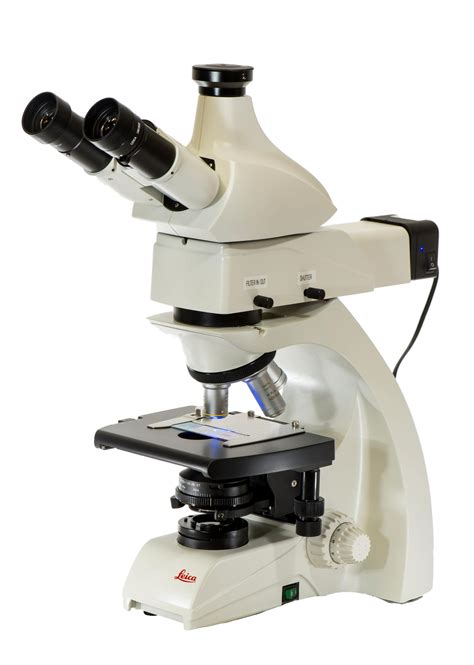 Leica Dm750 Leica Fluorescence Microscope Microscope Central