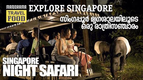 സിംഗപ്പൂർ നൈറ്റ് സഫാരി Singapore Night Safari M M Travel Guide Youtube