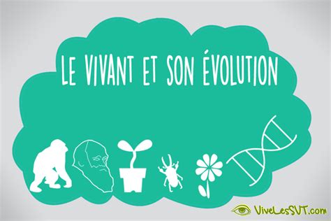 Le Vivant Et Son évolution Cycle 4 Vive Les Svt Les Sciences De