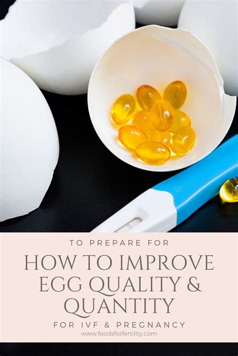 Improve Egg Quality For Ivf And Pregnancy Egg Health Freeze Eggs