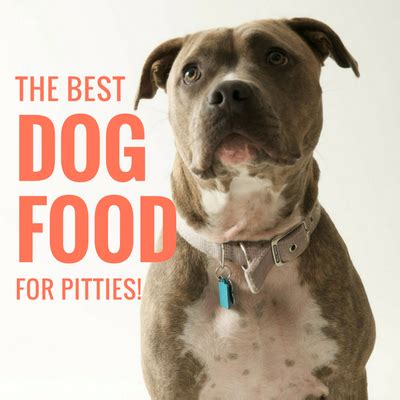 New dog owners face a difficult choice when picking the right food for their pet because there is more to consider than the taste, portion sizes what to avoid when looking at pitbull dog food ingredients. Pin on Dogs!