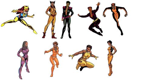 The Comic Book Hero Vixen Costume History