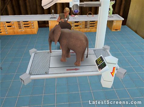 Great staff, very friendly and caring about my pet. All Pet Vet 3D: Wild Animal Hospital Screenshots for PC