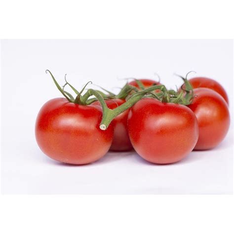Tomato Red Russian Seeds Boondie Seeds