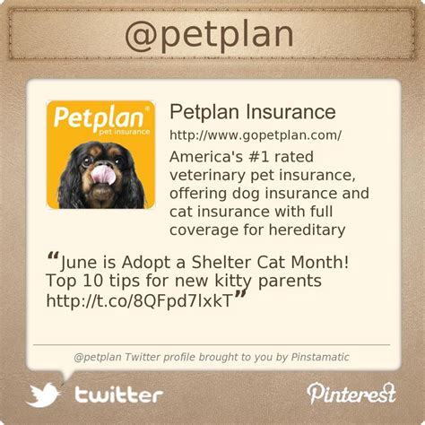 At the insured pet, we can help answer these questions. Pet Care Insurance Canada - Pets Ideas