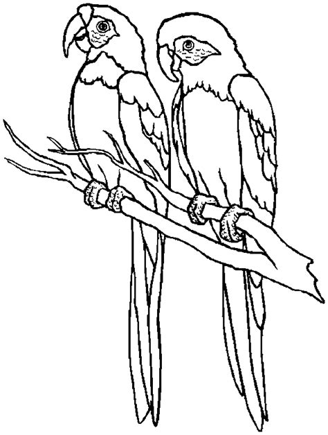 Click on the coloring page to open in a new window and print. Kids Page: Birds Coloring Pages | Printable Birds Coloring ...
