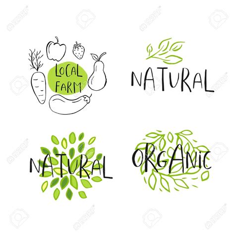 Conjunto De 4 Vector Eco Bio Logo Verde O Signo Vegano Crudo