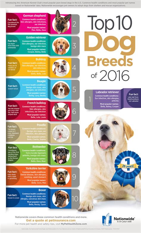 Dog Breed Guide For Kids 50 Essential Dog Breeds To Know And Love With