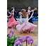 Ballroom Dance  Encyclopedia Of DanceSport