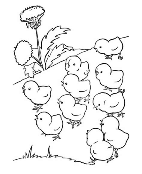 Baby Farm Animals Coloring Pages For Kids Disney