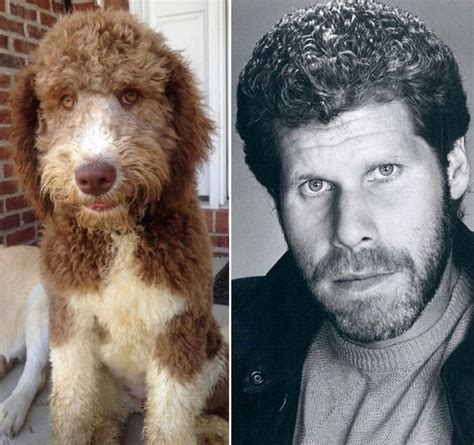 Celebrity Animal Lookalikes 20 Pics