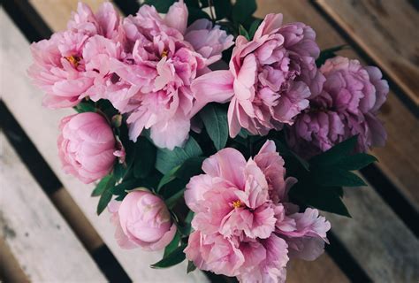 White shade signifies peace and also purity and also represents divine and pious sensations. The 15 Most Popular Wedding Flowers In 2019 | Shutterfly