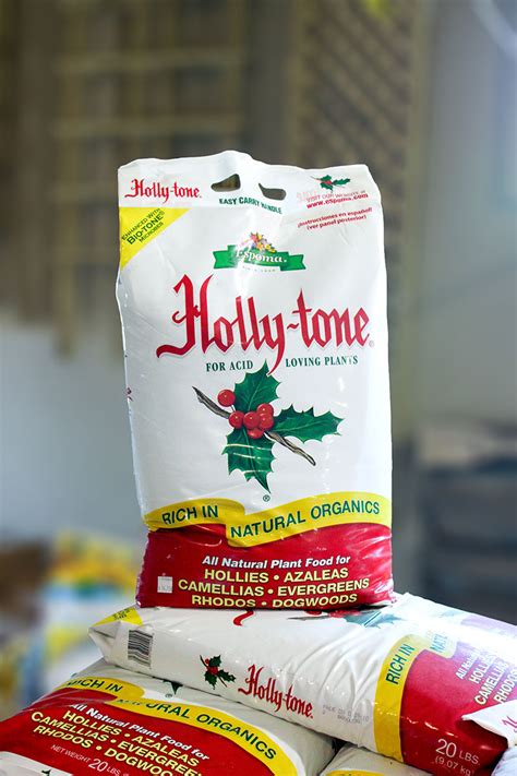 Choosing fertilizer for arborvitae trees. When should you use Holly-tone®? - Sticks & Stones