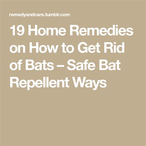 19 Home Remedies On How To Get Rid Of Bats Safe Bat Repellent Ways Home Remedies Bat