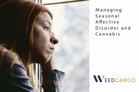 Managing Seasonal Affective Disorder And Cannabis Weed Cargo