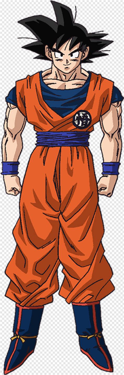 Ultra Instinct Goku Base Goku Hair Goku Kamehameha Kid Goku Goku